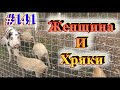 Женщина кастрирует хрячков. С нежной психикой НЕ СМОТРЕТЬ