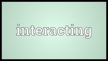 Interacting Meaning