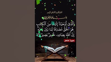 سورة فاطر الآية ( 31 )