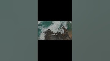 فما لهم عن التذكرة معرضين - القارئ بدر التركي
