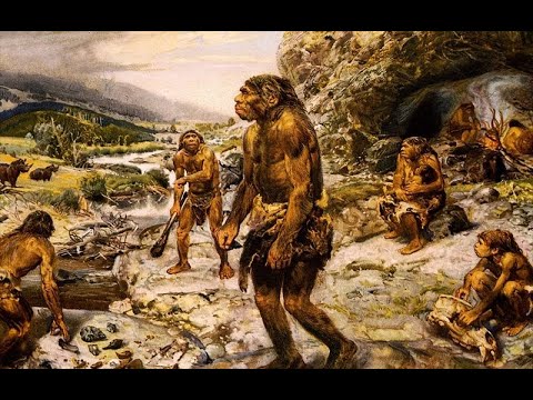 Chaginstonning bug dvigatellarida MFF jinsiy pozitsiyasi Eshakdagi trannyni sikish