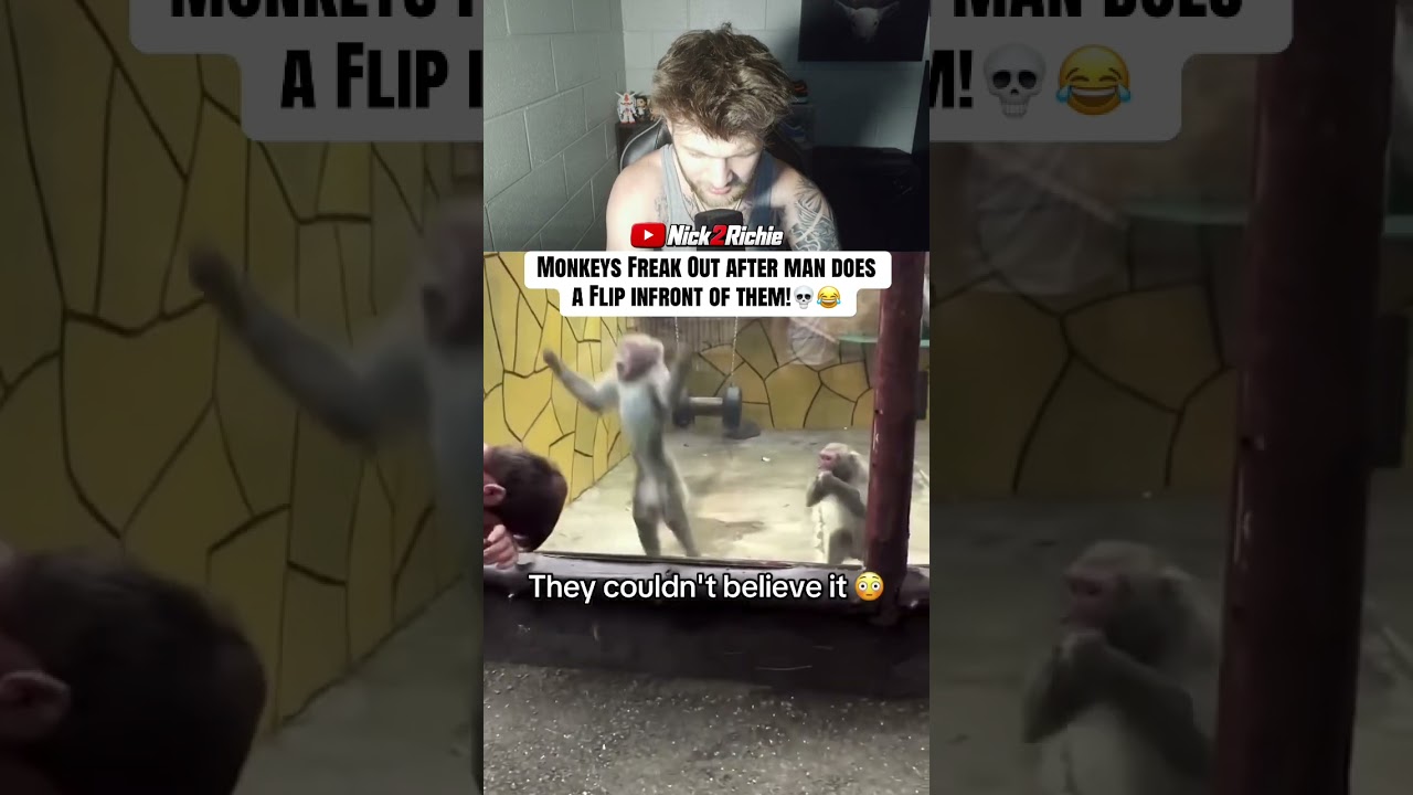 This Backflip Broke The Monkey’s Brain!! 😭💀