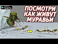 СИМУЛЯТОР СТРОИТЕЛЬСТВА КОЛОНИЙ МУРАВЬЕВ В ТЕРРАРИУМАХ НА АНДРОИД ОБЗОР ANT SIM TYCOON ANDROID