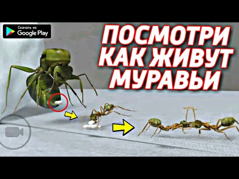 Video: Ant Simulator Izstrādātājs Apsūdz Partnerus Naudas Zagšanā Par Dzērieniem, Noņēmējiem