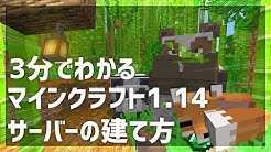せふぃ Youtube