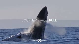 Journey Wonderful with Celebrity Cruises | Silver Travel Advisor