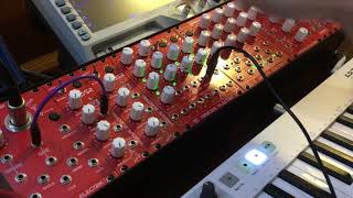 Lizard System Video 2