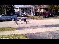mcg gets beat