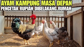 TERNAK MAU UNTUNG❓️LAKUKAN CARA INI‼️