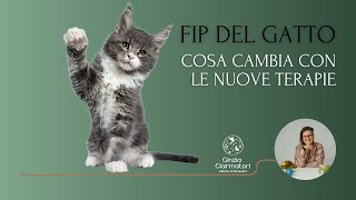 FIP nel gatto, cosa cambia con Remdesivir e GS-441524 e come curare in modo integrato