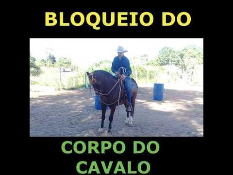 O que fazer em uma situação que o cavalo pula com você em cima