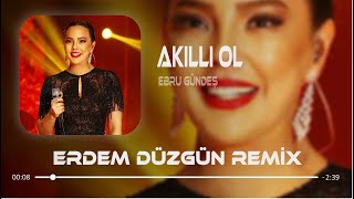 Ebru Gündeş - Akıllı Ol ( Erdem Düzgün Remix )