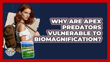 Why Are Apex Predators Vulnerable To Biomagnification? - The Geography Atlas