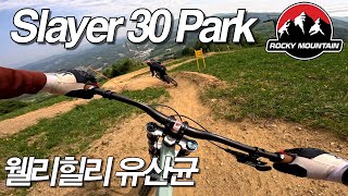 록키마운틴 슬레이어 30 파크 에디션 Rocky mountain 30 park 유산균 코스