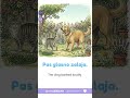 Learn Serbian: Pas i Mačka (Dog and Cat)