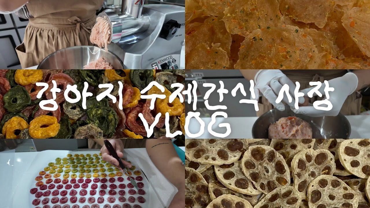 사장 vlog | 건조간식은 이렇게 만듭니다 🐾 | 딩도그댕 건조간식 제작과정 공개🐶 | 손질부터 소독까지 초보사장의 하루🎬