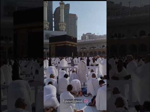     محمد نبينا حماده هلال روحانية لا ت وصف  