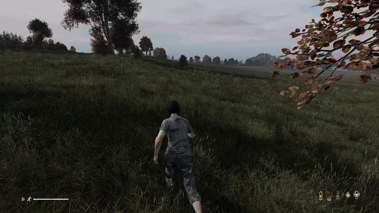 DayZ Hardpoint Reapers victory on Ground Zero server YouTube