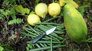 Homestead Winter Harvest Hawaii