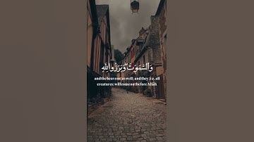 "يوم تُبَدَّلُ الأرضُ غيرَ الأرض –سورة إبراهيم الآية 48]، بتلاوة مؤثرة بصوت القارئ عبد الرحمن مسعد.