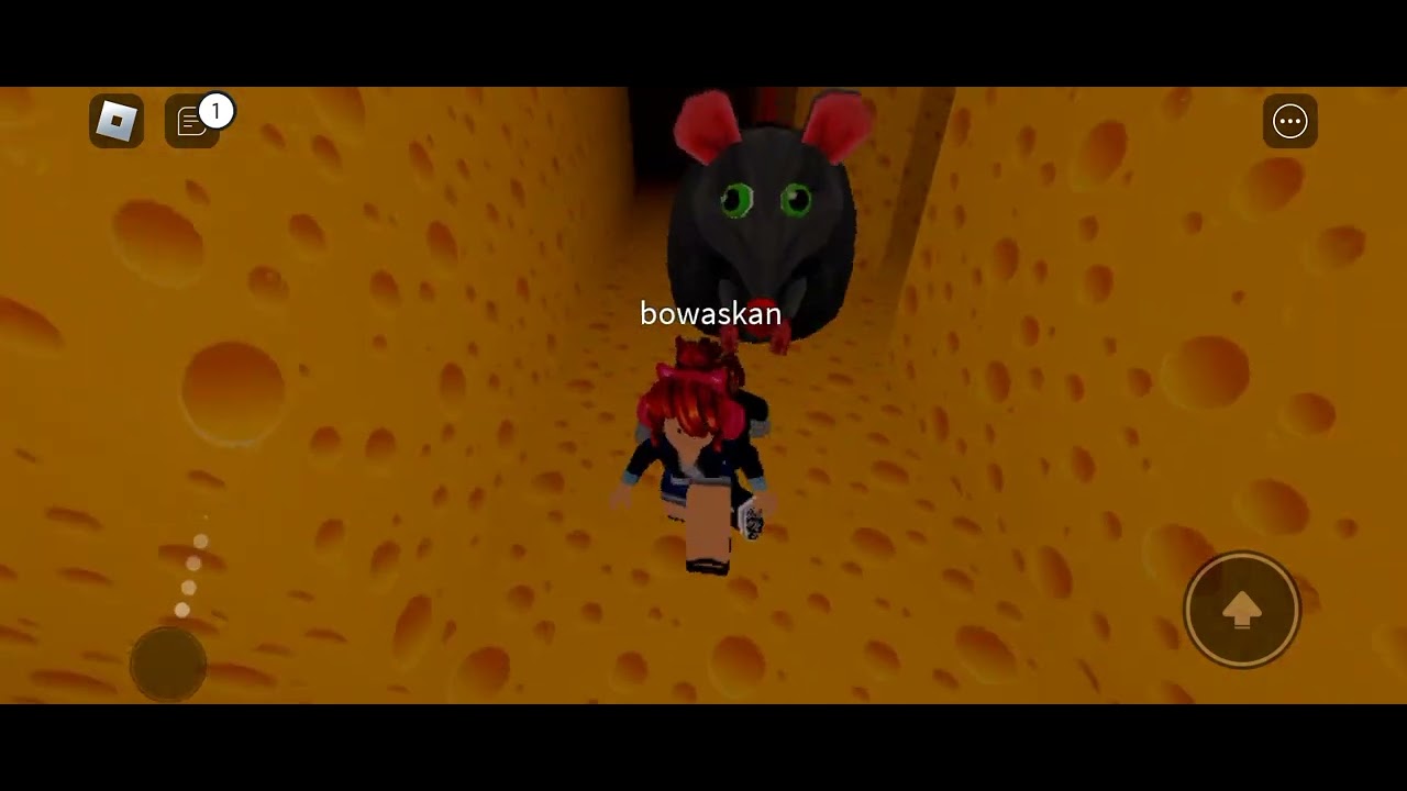 Ada tikus besar di labirin. big mouse at labirin - YouTube