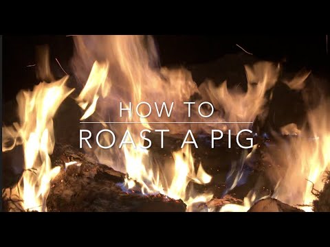 How to Roast a Pig for a Pig Roast