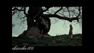 Severus & Lily | Timeless Love