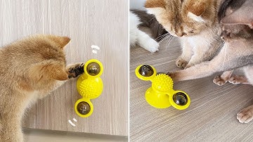 Best Interactive Cat Toys Windmill Cat Toy Review 2020