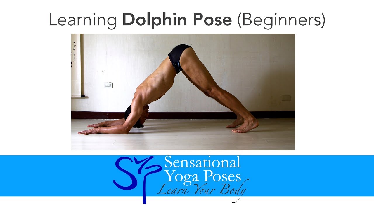 COMP] Today I would like to share some strengthening work for straight  Pinchamayurasana (Feathered Peacock Pose). I hope its useful for folks  working on this. Drill 1: Dolphin Pose with toe raises,