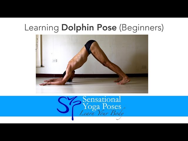 Back Bending Yoga Poses