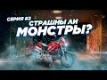 Сколько стоит содержать Ducati? Встречаю S4 из Японии. Первичная смета расходов. #страшнылимонстры