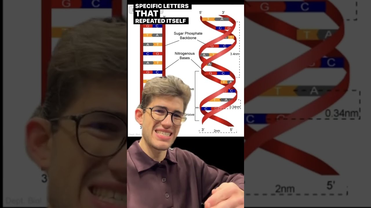 Found GOD S NAME IN HUMAN DNA Shorts Dna God Bible Proof Supernatural Jesus