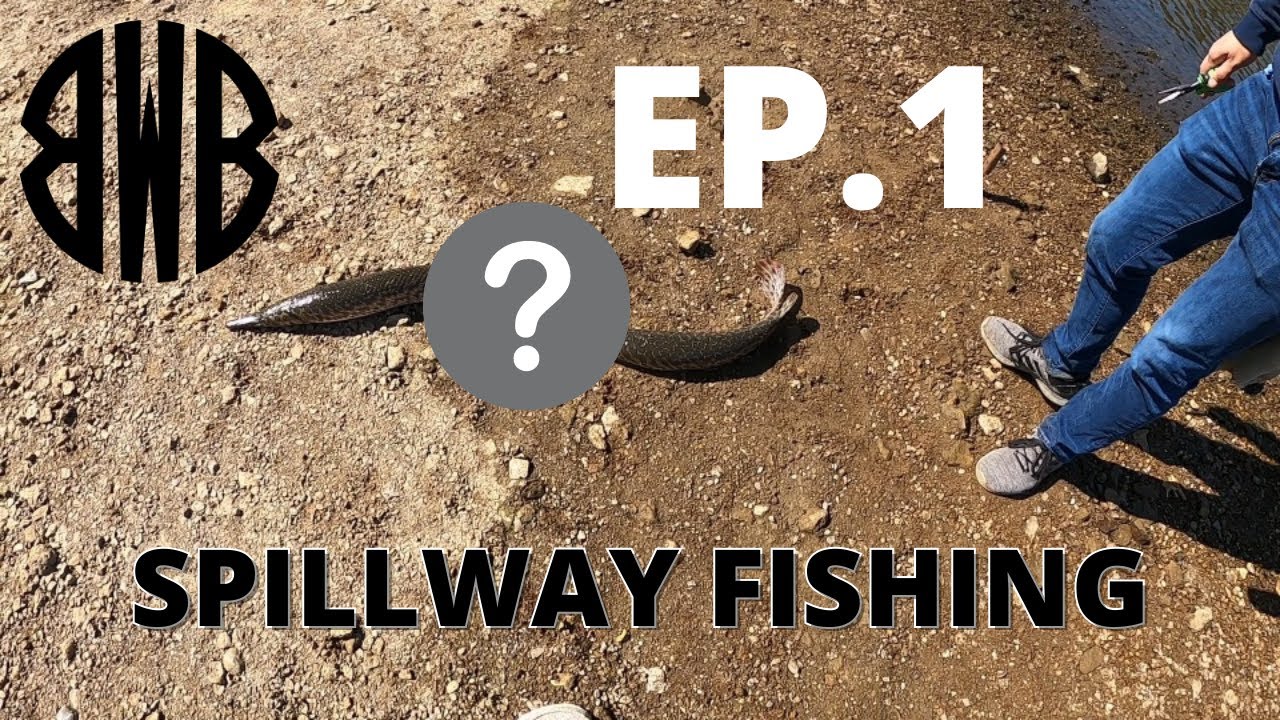 SPILLWAY FISHING (Rend Lake Ep. 1.) - YouTube