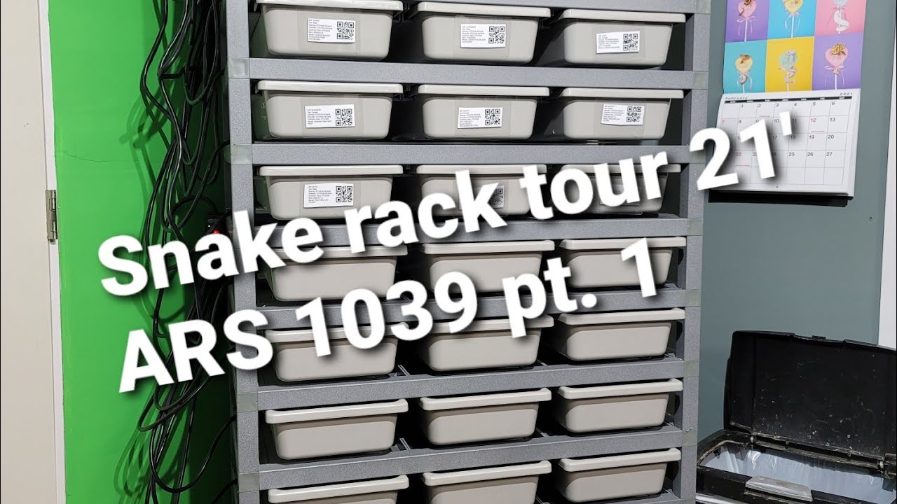 Snake Rack tour 21' ARS 1039 part 1 - YouTube