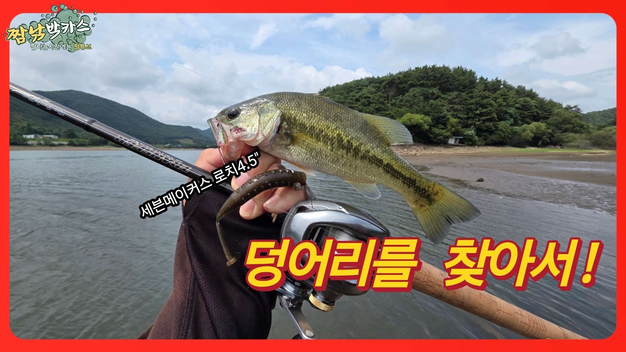 배스낚시 여긴 큰놈이 있겠지! 비온뒤 새물찾아 낚시하기!#프리리그 #로치4.5 #7evenMAKERS #FREERIG #미노우 #비전원텐 #bassfishing #fishing