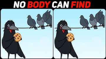 Only 9% Genius Can Spot The 3 Differences 🥸🔥