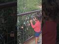 #ytshorts #cute #hii #what #come #play #please #puff #penquin #adorable #boy #shortsfeed