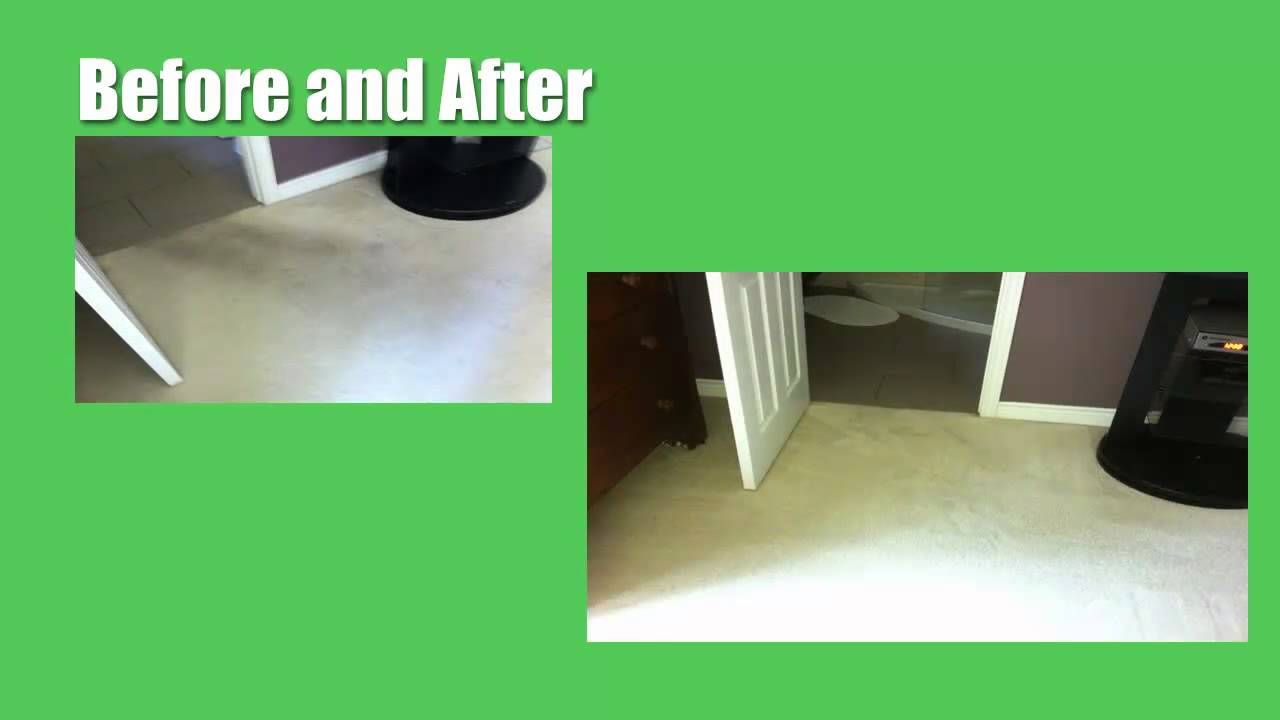 Carpet Cleaning Before and After Steamwise YouTube