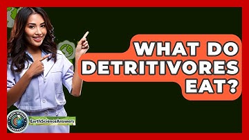 What Do Detritivores Eat? - Earth Science Answers