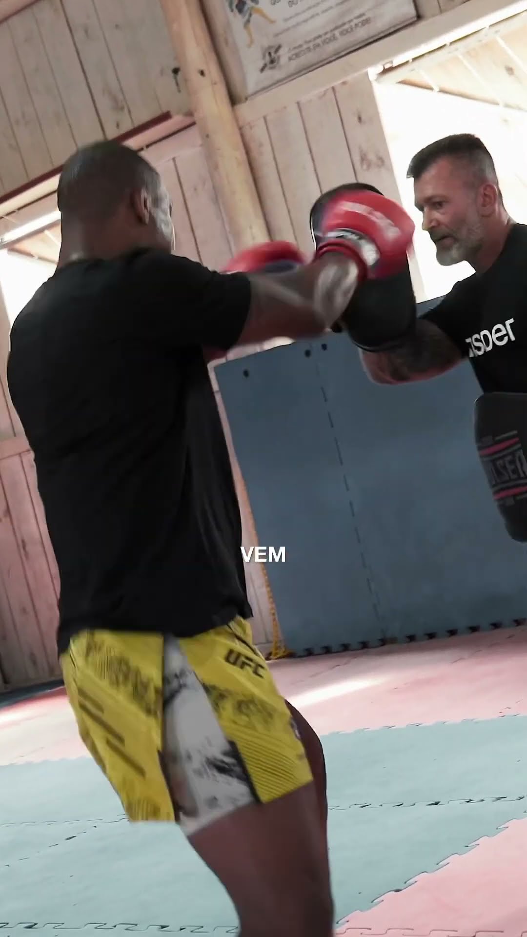 TBT com esse monstro peso pesado do #ufc ??