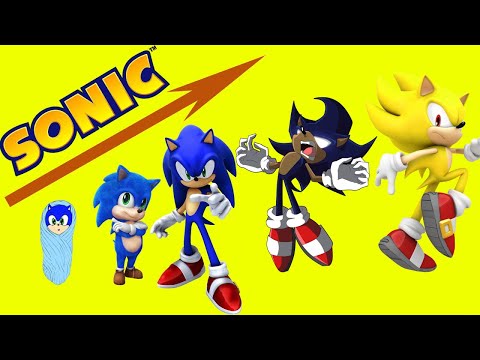 POOR SONIC LIFE!