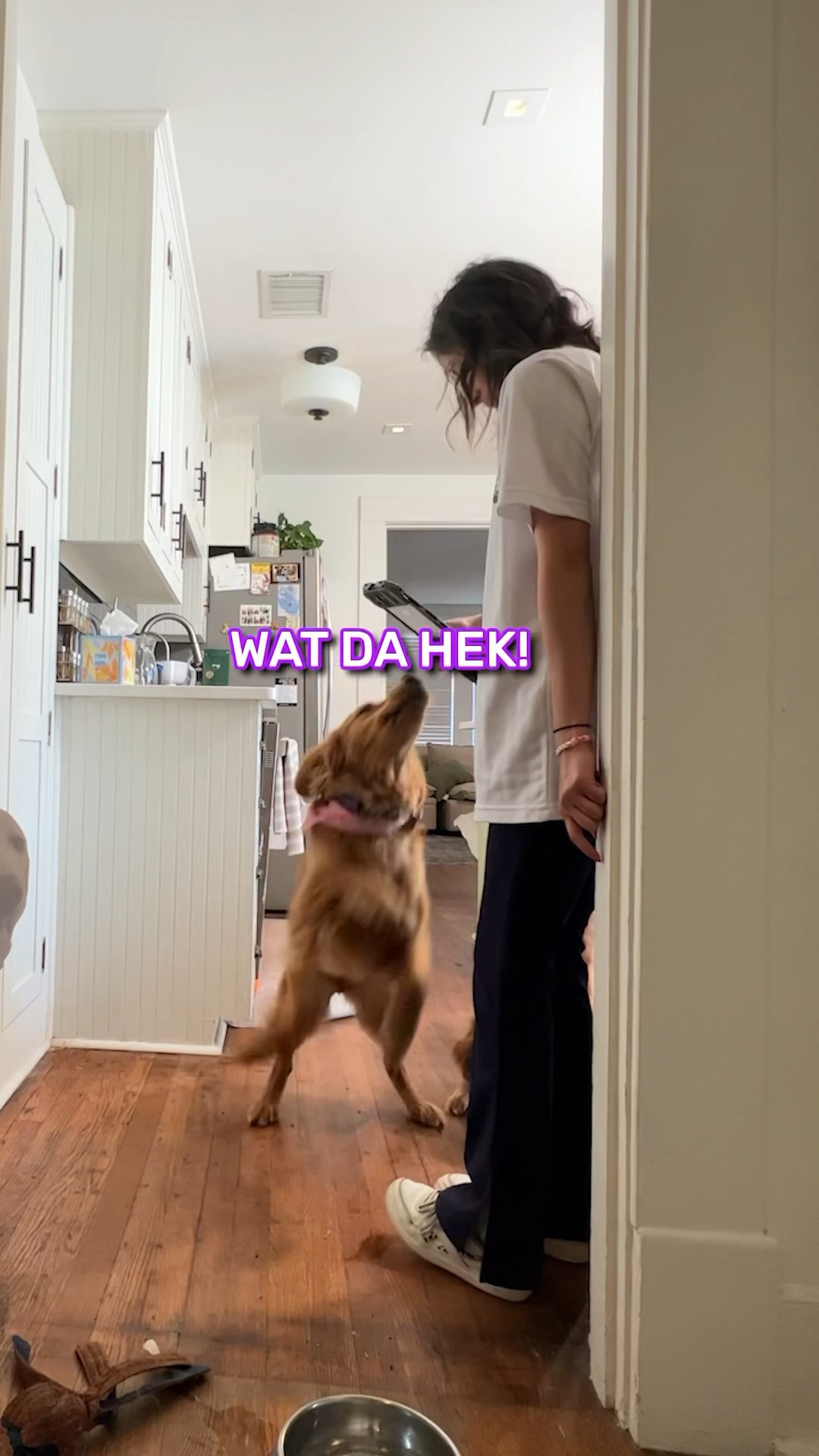 My dogs hate me...