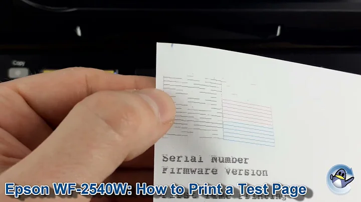 Epson WF-2540: How to Print a Nozzle Check Test Page