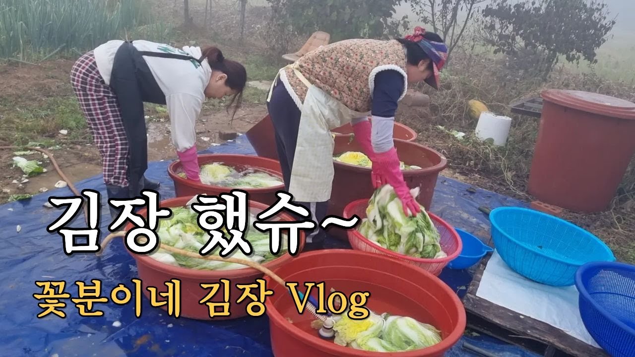 김장 브이로그, 올겨울 김장 담그는 날, 김장 준비부터 완성까지, 김장 이야기, 시골집 겨울 준비, 오도이촌 겨울
