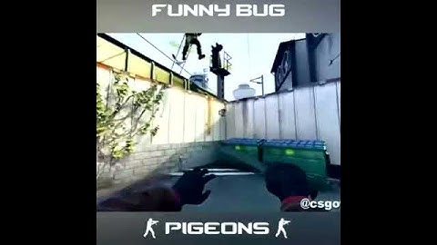 Funny Bug in CSGO