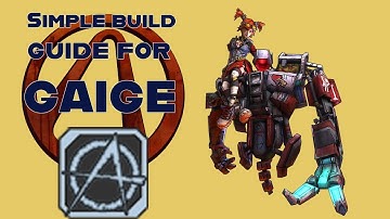 Borderlands 2 Gaige Character Guide | Progression, build, weapons, etc