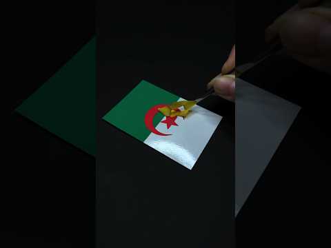 Video: Flag of algeria