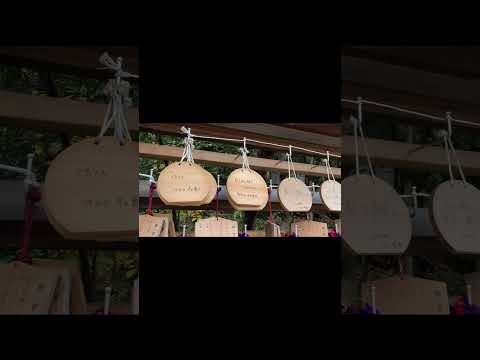 さらっと乃木坂46聖地巡礼動画