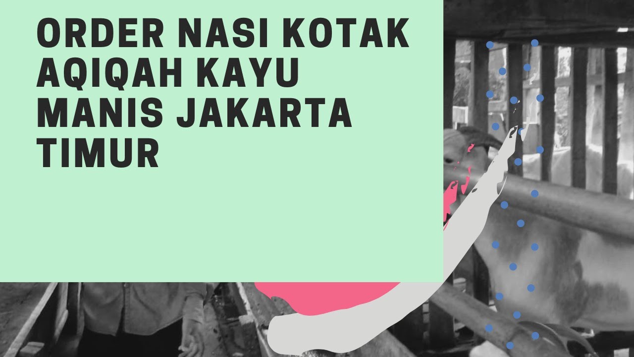 Order Nasi Kotak  Aqiqah Kayu  Manis  Jakarta Timur YouTube