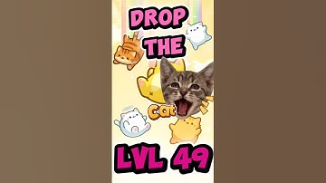 Drop the Cat lvl 49 Walkthrough